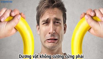 dương vật khó cương