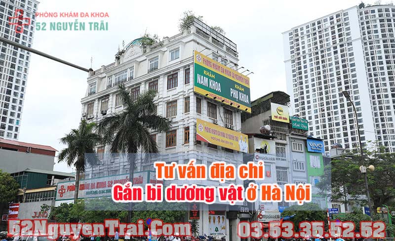 địa chỉ gắn bi uy tín tại Hà Nội