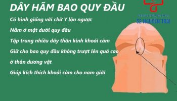 Đứt dây hãm