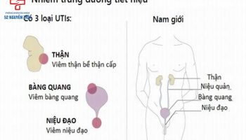 nhiễm trùng đường tiết niệu