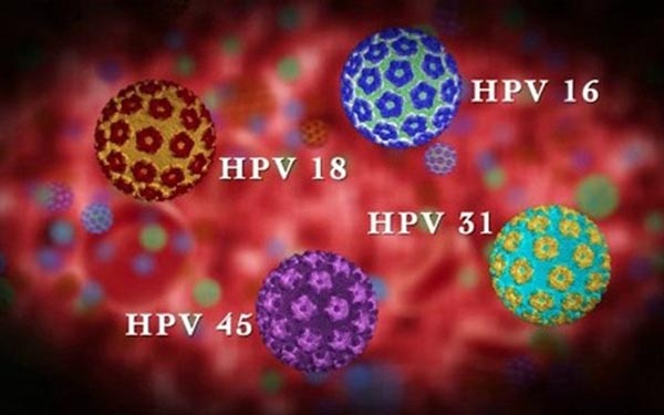 hpv virus