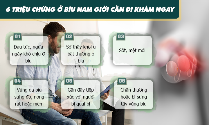 Đau vùng bìu là bệnh gì? Có nguy hiểm không? Khám ở đâu tốt