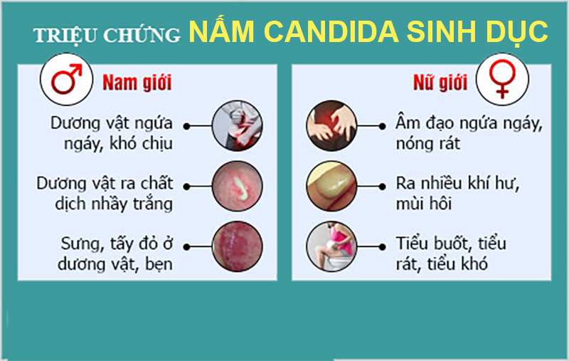 Nấm candida