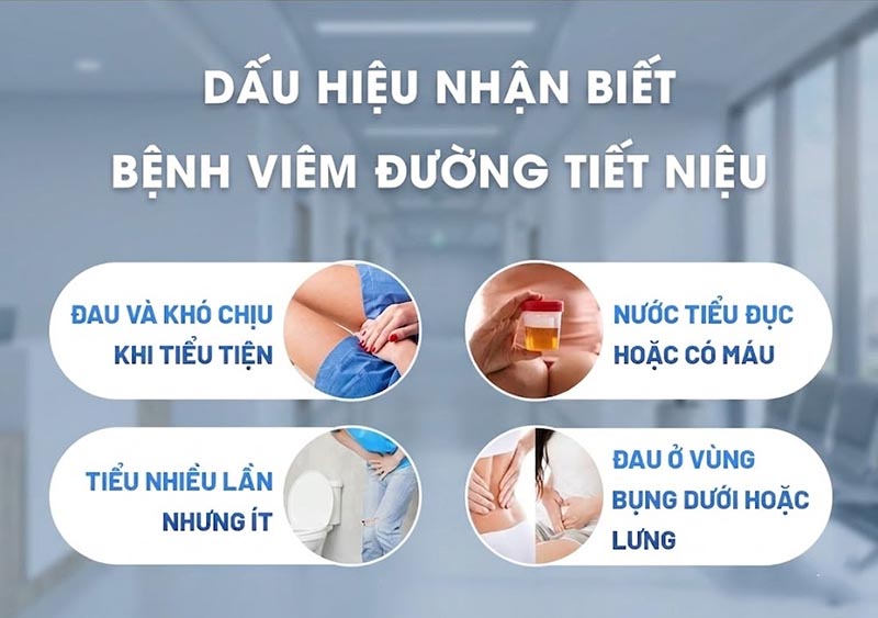 DẤU HIỆU VIÊM ĐƯỜNG TIẾT NIỆU