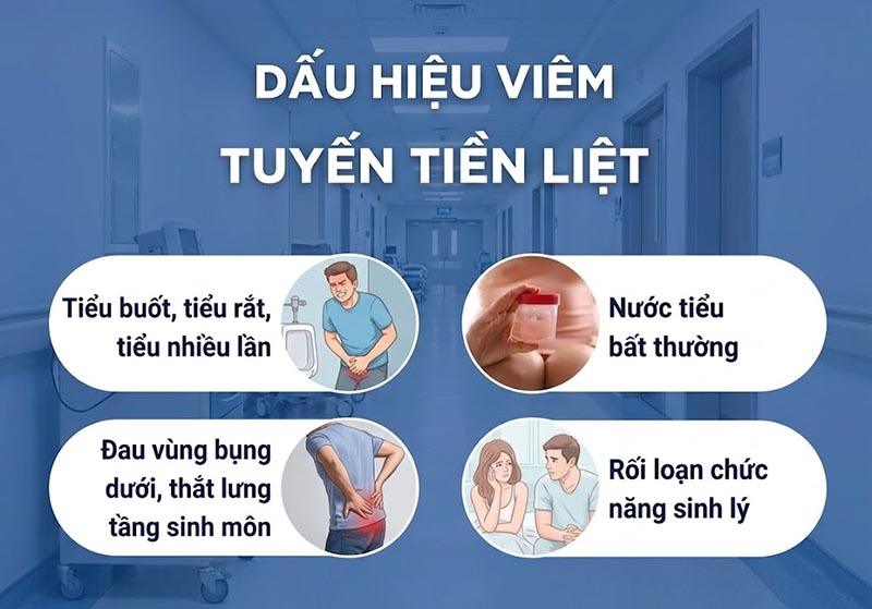 dấu hiệu viêm tuyến tiền liệt
